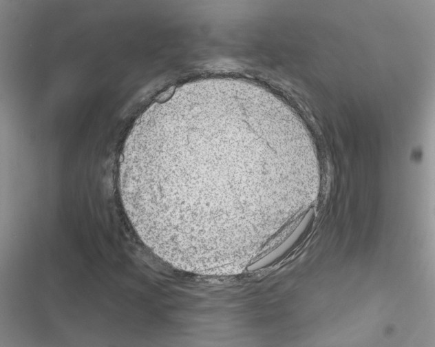 X0000116551205201001211154