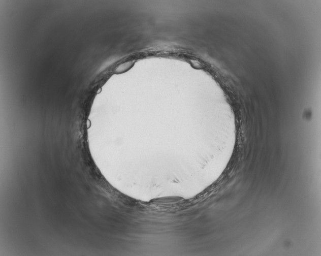 X0000116551206201001211154