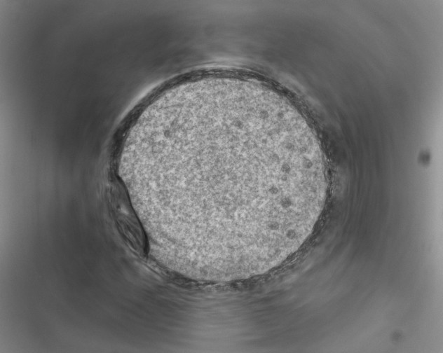 X0000116551208201001211154