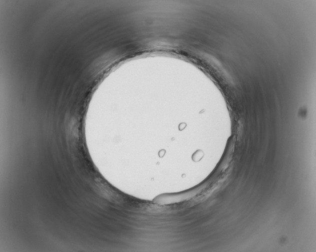 X0000116551209201001211154