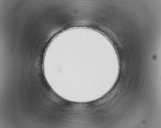 X0000116551210201001211154