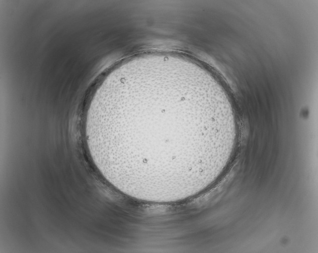 X0000116551211201001211154