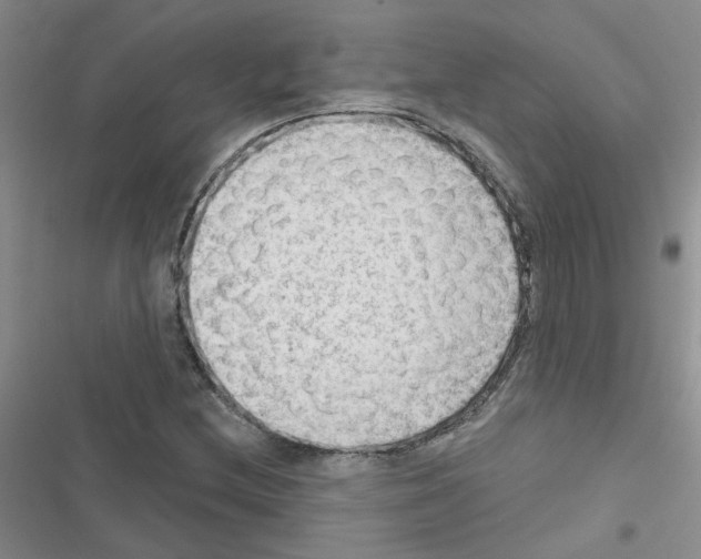 X0000116551212201001211155