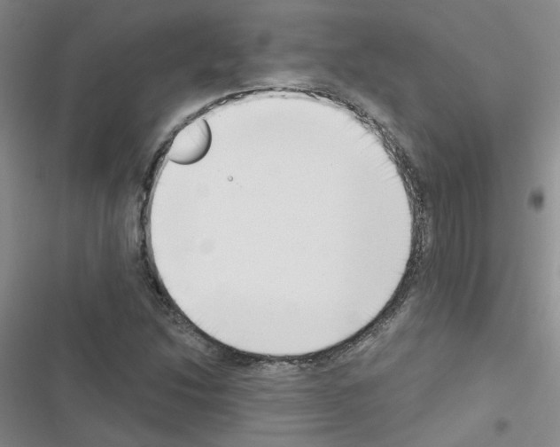 X0000116551214201001211155