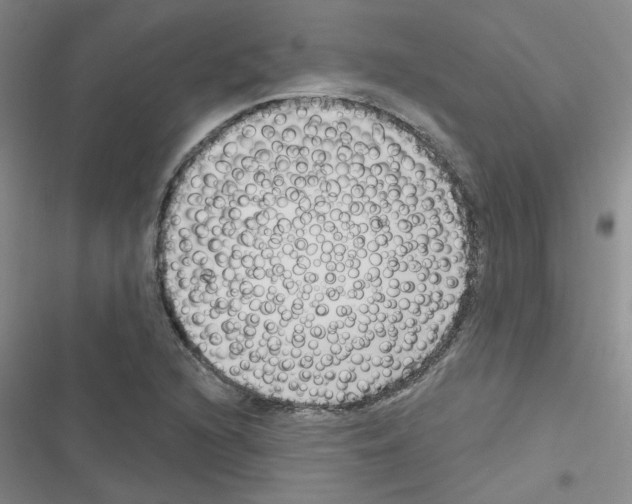 X0000116551216201001211155