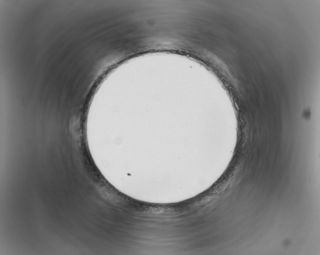 X0000116551218201001211155