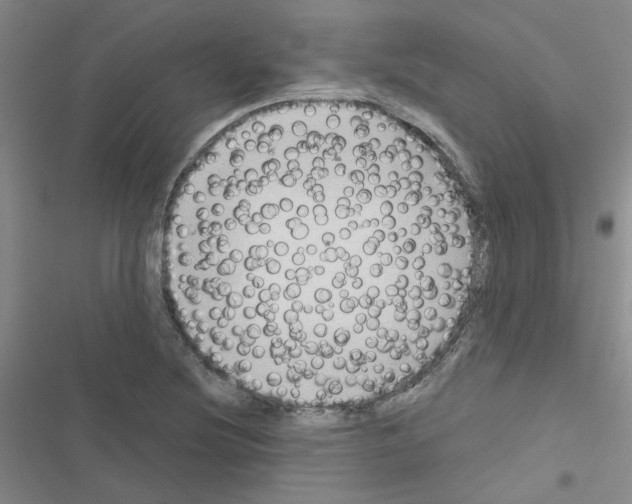 X0000116551220201001211155