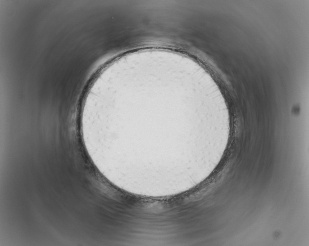 X0000116551222201001211155