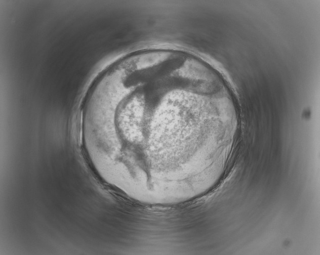 X0000116551223201001211155