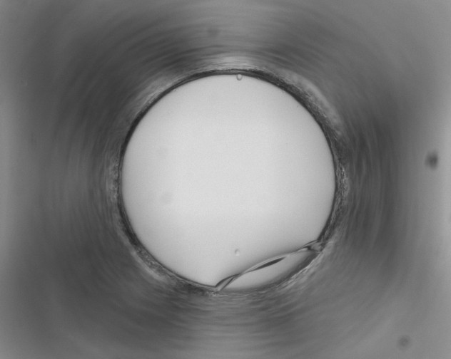 X0000116551225201001211155