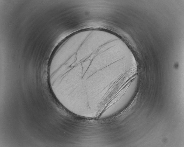 X0000116551226201001211155