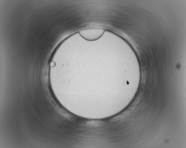 X0000116551227201001211155