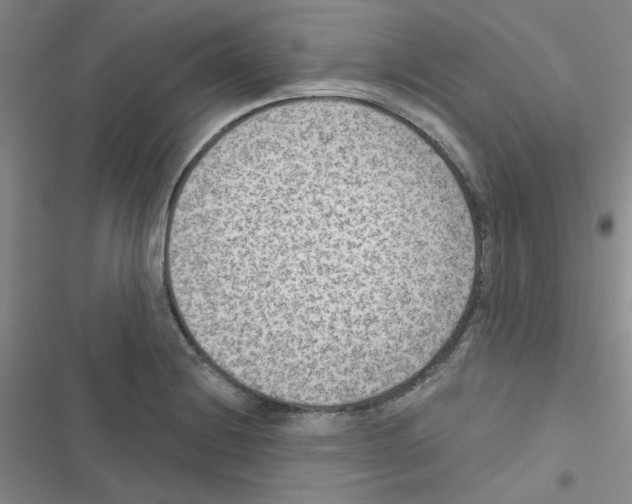 X0000116551228201001211155