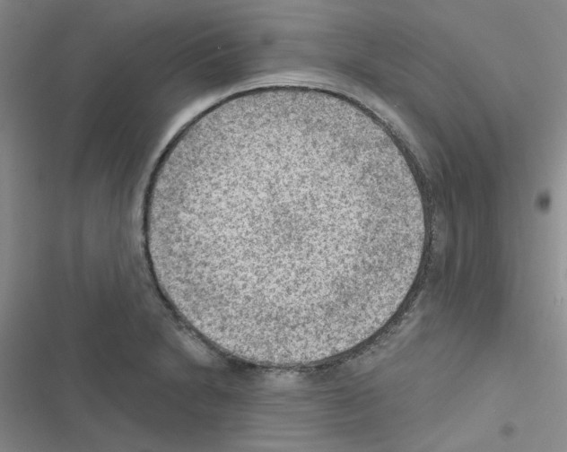 X0000116551230201001211155