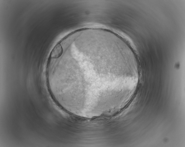 X0000116551231201001211155