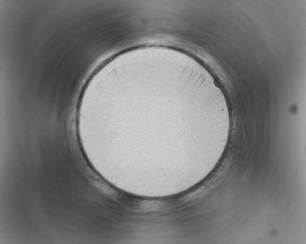 X0000116551232201001211155