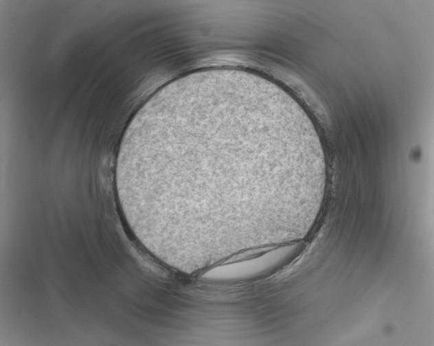 X0000116551233201001211155