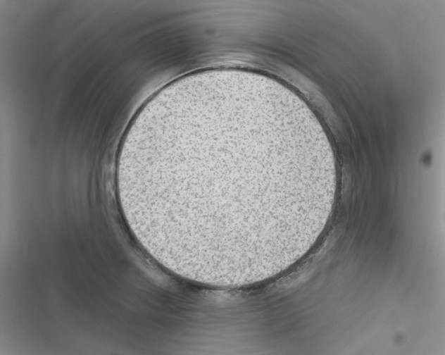 X0000116551234201001211155