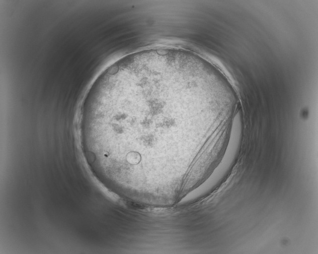 X0000116551235201001211155