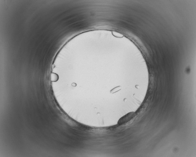 X0000116551236201001211155