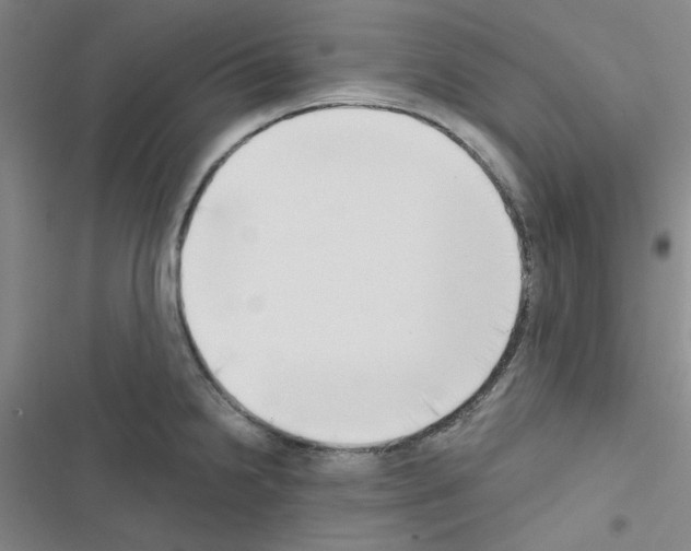 X0000116551238201001211155