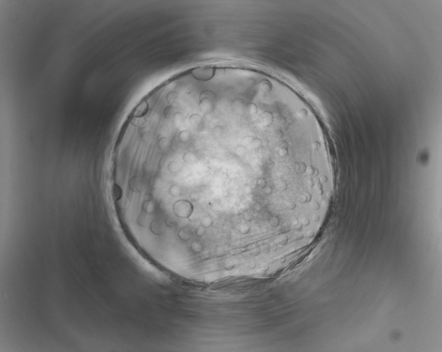 X0000116551239201001211155