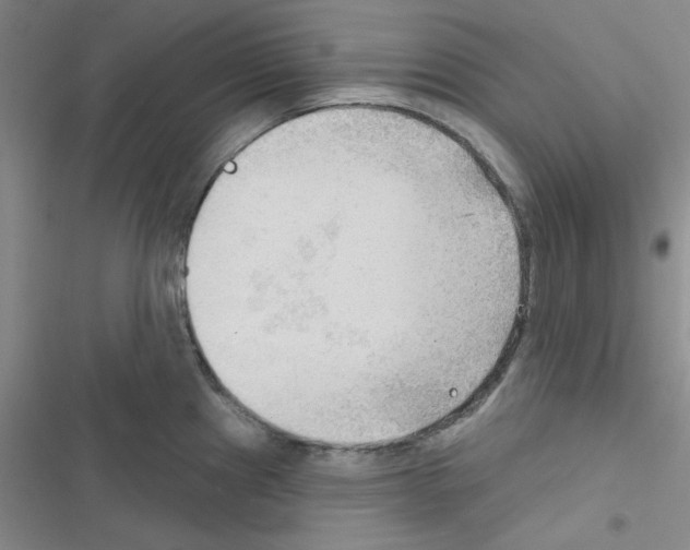 X0000116551241201001211155