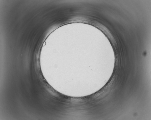 X0000116551242201001211155