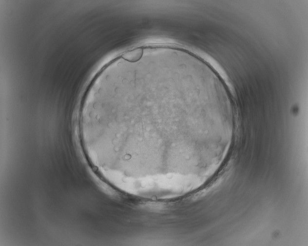 X0000116551245201001211155