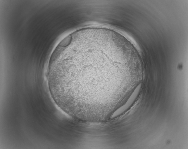 X0000116551247201001211155