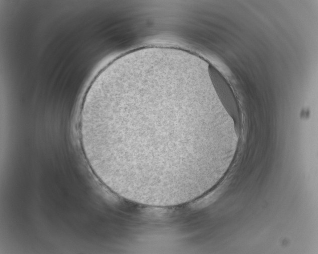 X0000116551248201001211155