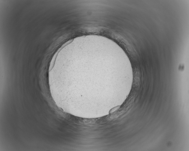 X0000116551249201001211154