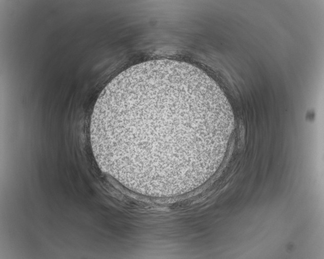 X0000116551250201001211154