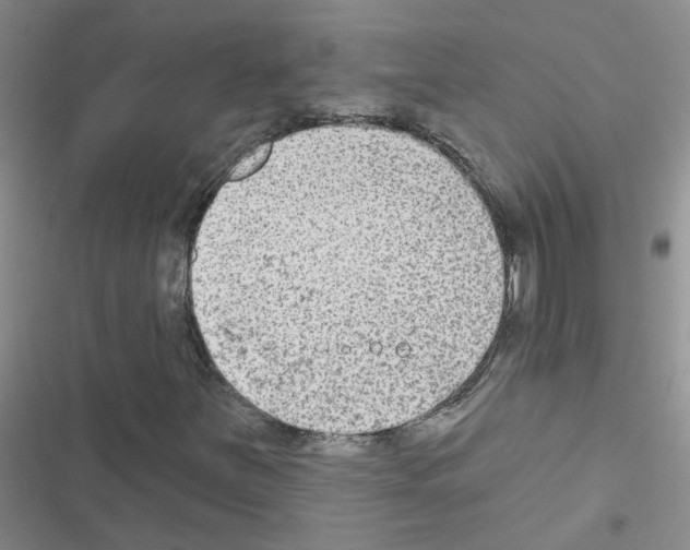 X0000116551251201001211154