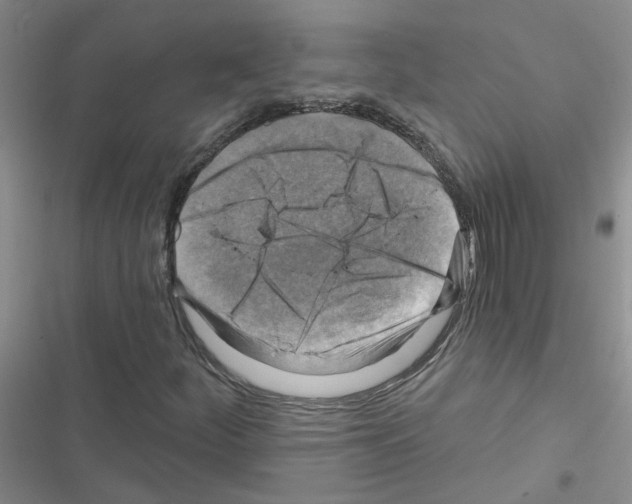 X0000116551252201001211154