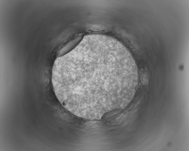 X0000116551253201001211154