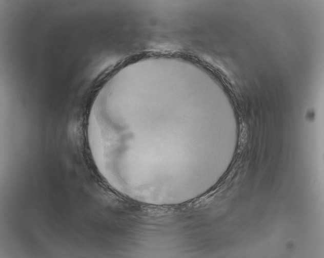 X0000116551254201001211154