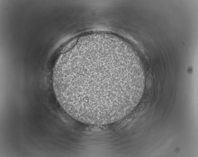 X0000116551255201001211154