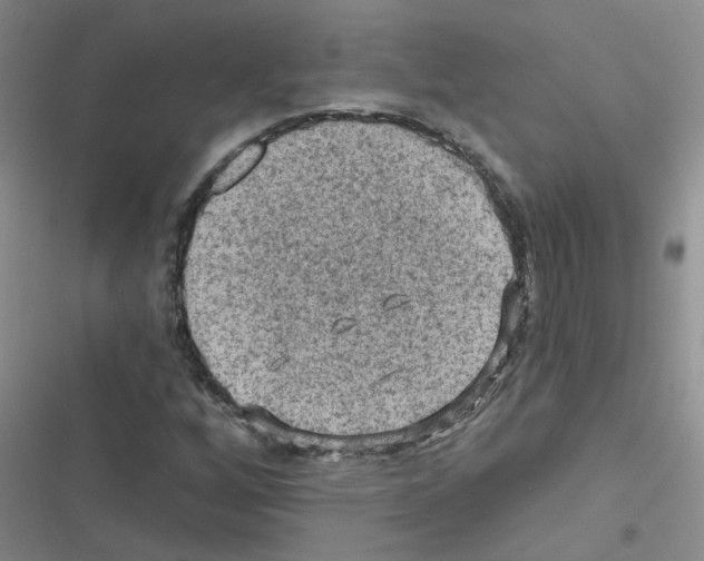 X0000116551256201001211154