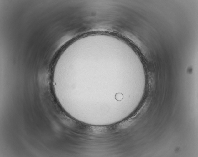 X0000116551258201001211154