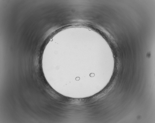 X0000116551259201001211154