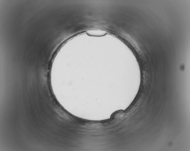 X0000116551260201001211154