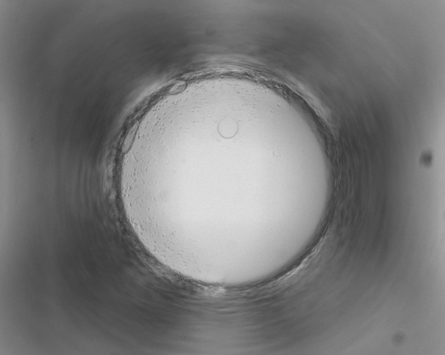 X0000116551261201001211154