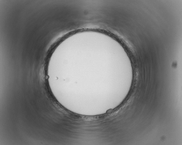 X0000116551262201001211154