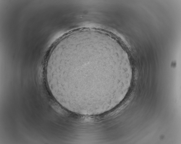 X0000116551263201001211154