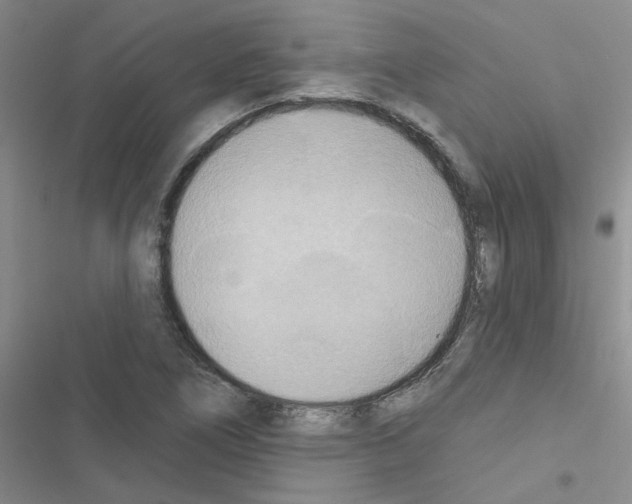 X0000116551266201001211154