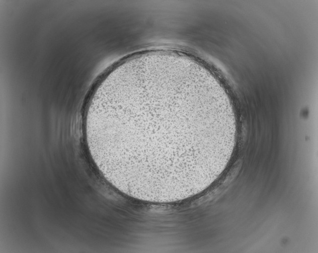 X0000116551267201001211154