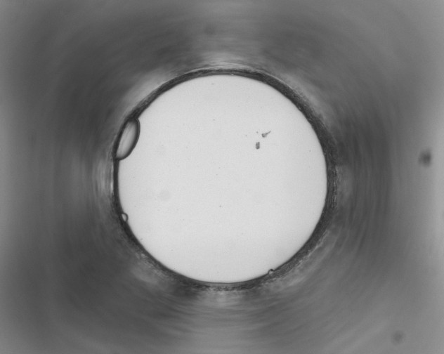 X0000116551269201001211154