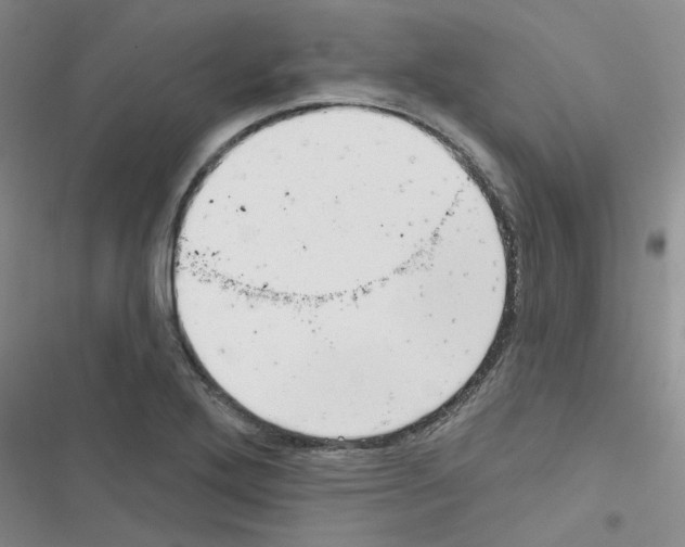 X0000116551272201001211154