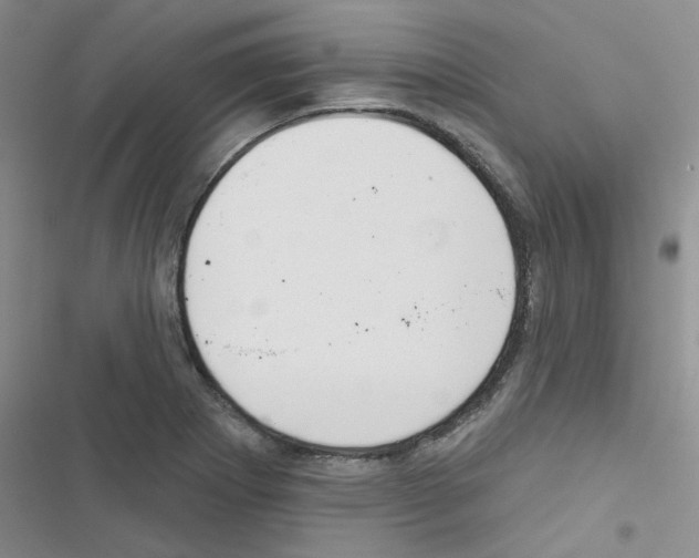 X0000116551273201001211154